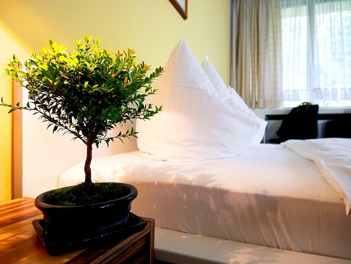 Hotel Albrechtshof Gohrisch المظهر الخارجي الصورة